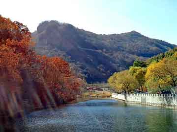 澳彩资料免费长期公开，油饺机